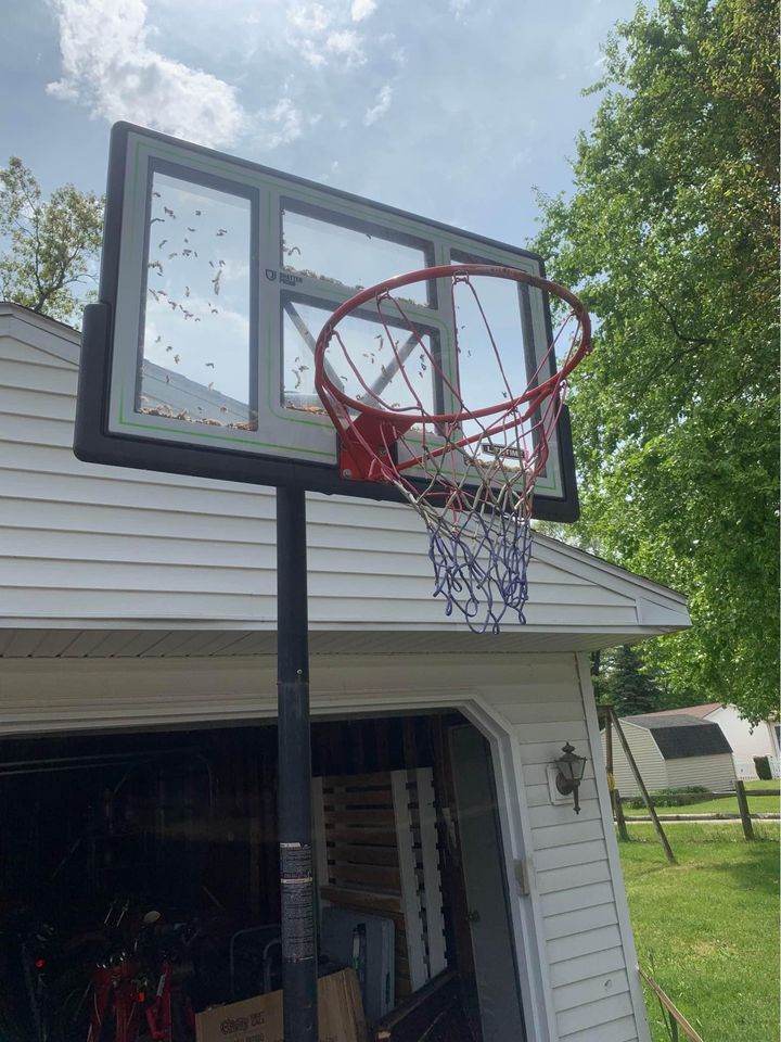 Portable Adjustable Basketball Hoop