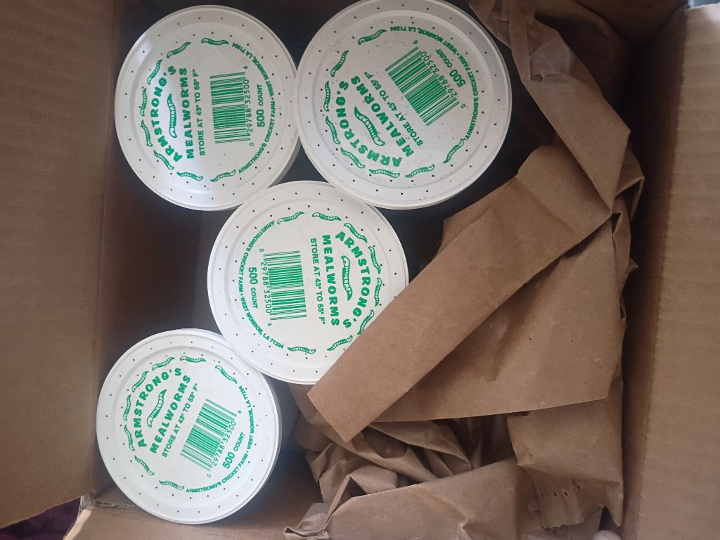Free 4 jars of 500 count live mealworms