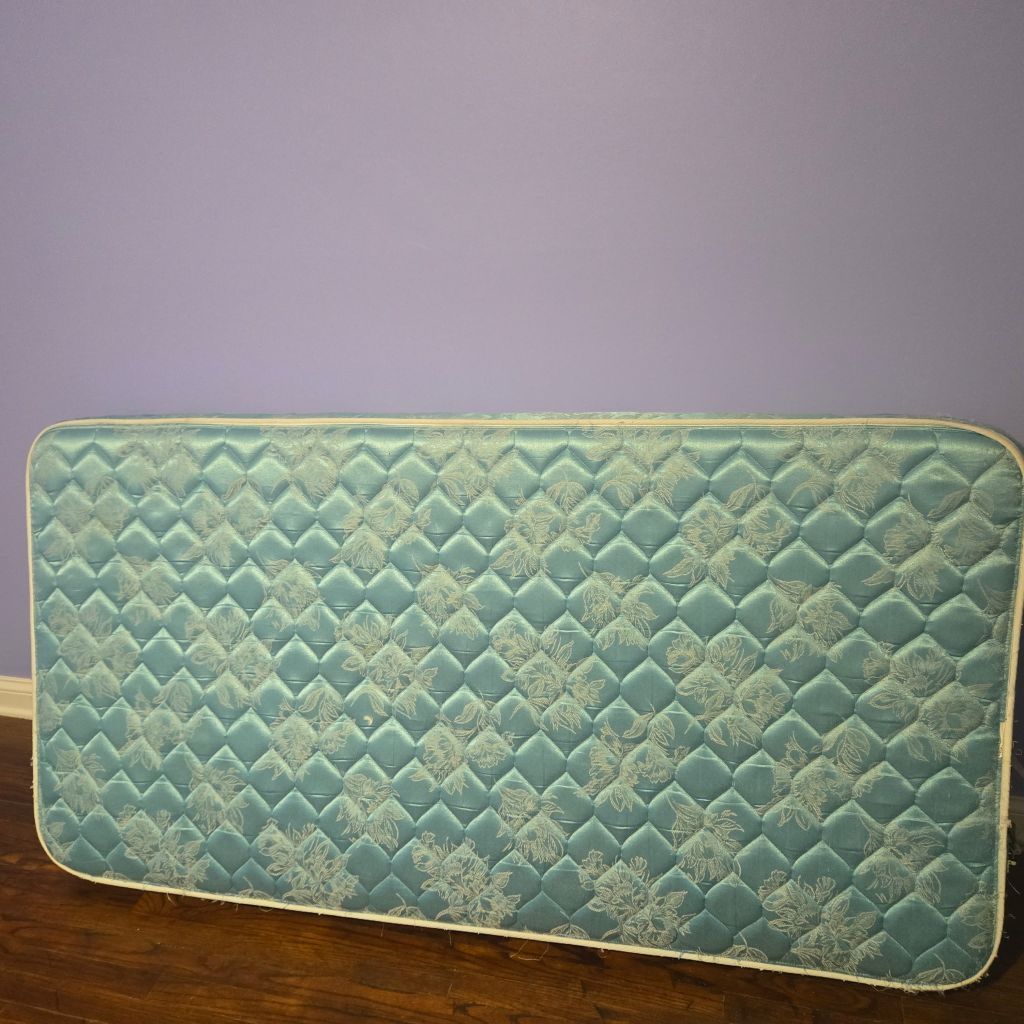 Free Twin mattress with box