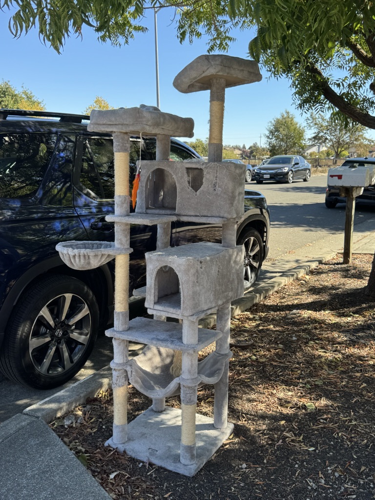 Free Tall Cat Tree