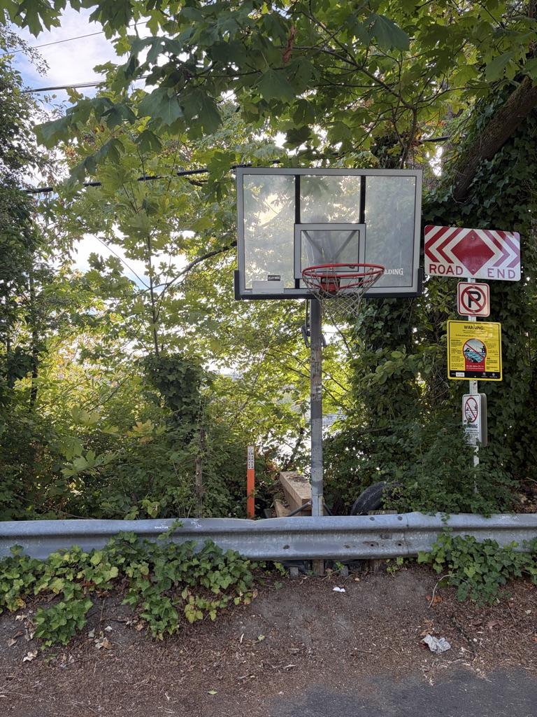 Free Basketball Hoop