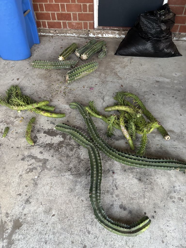 Free. 31st Place & Glenrosa. Phoenix 85016.