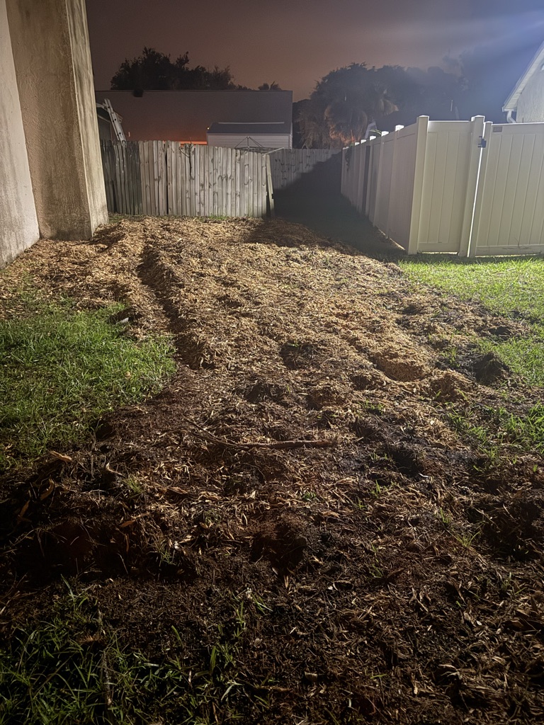 Free Oak tree mulch