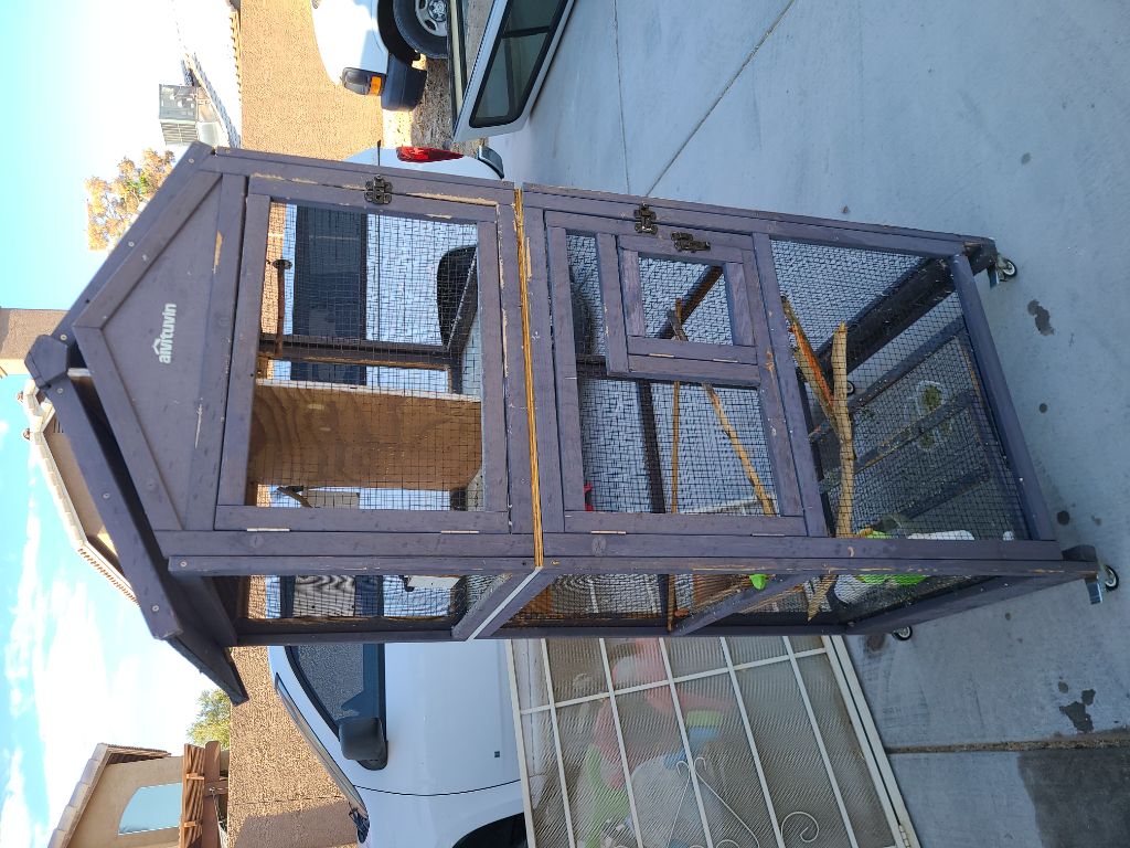 Free BIRD CAGE