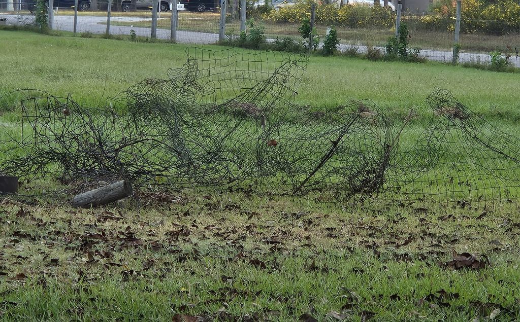Free Misc Metal fencing Scraps