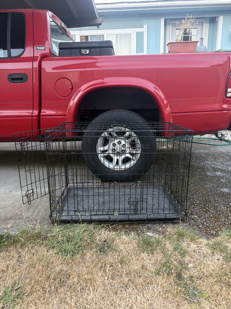 Free cage.