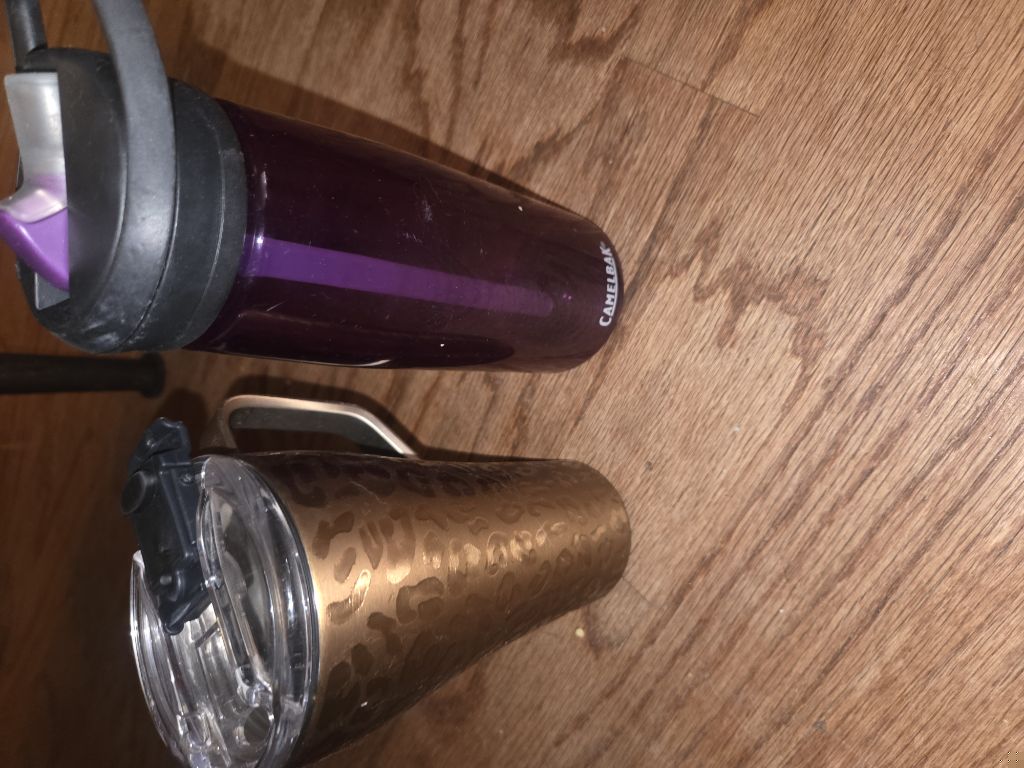Free Coffee Mug and Camelback