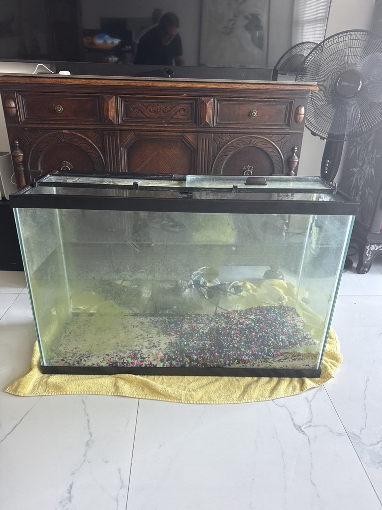 Free Acuario de 40 galones (150 litros)