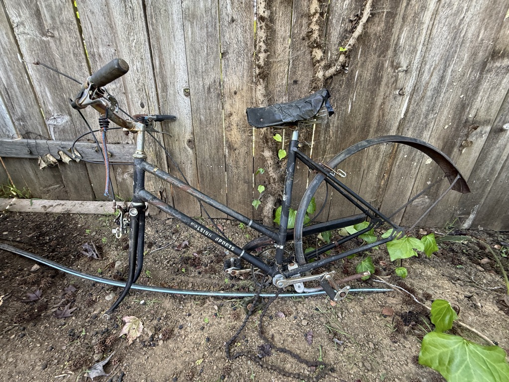 Free bike frame