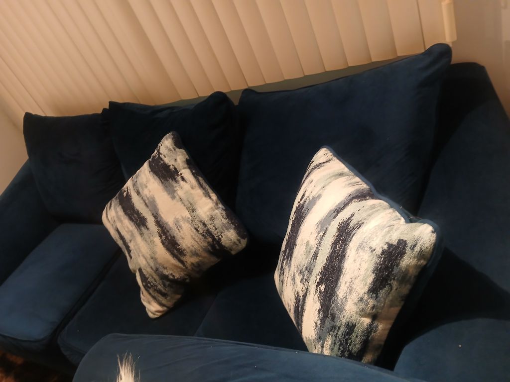 Free Sofa and Love seat