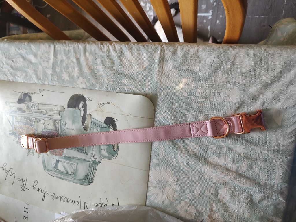 Free Pink dog collar. New.