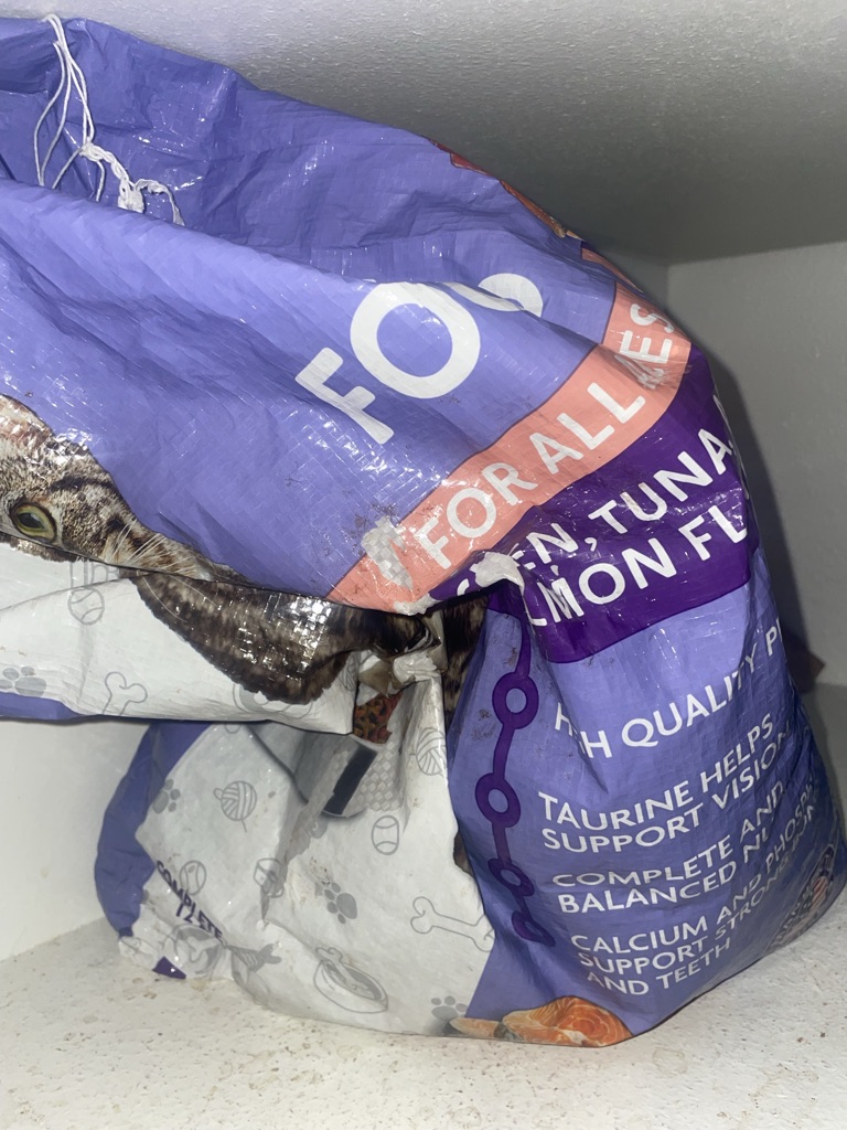 Free Big bag cat food ( Family Pet )