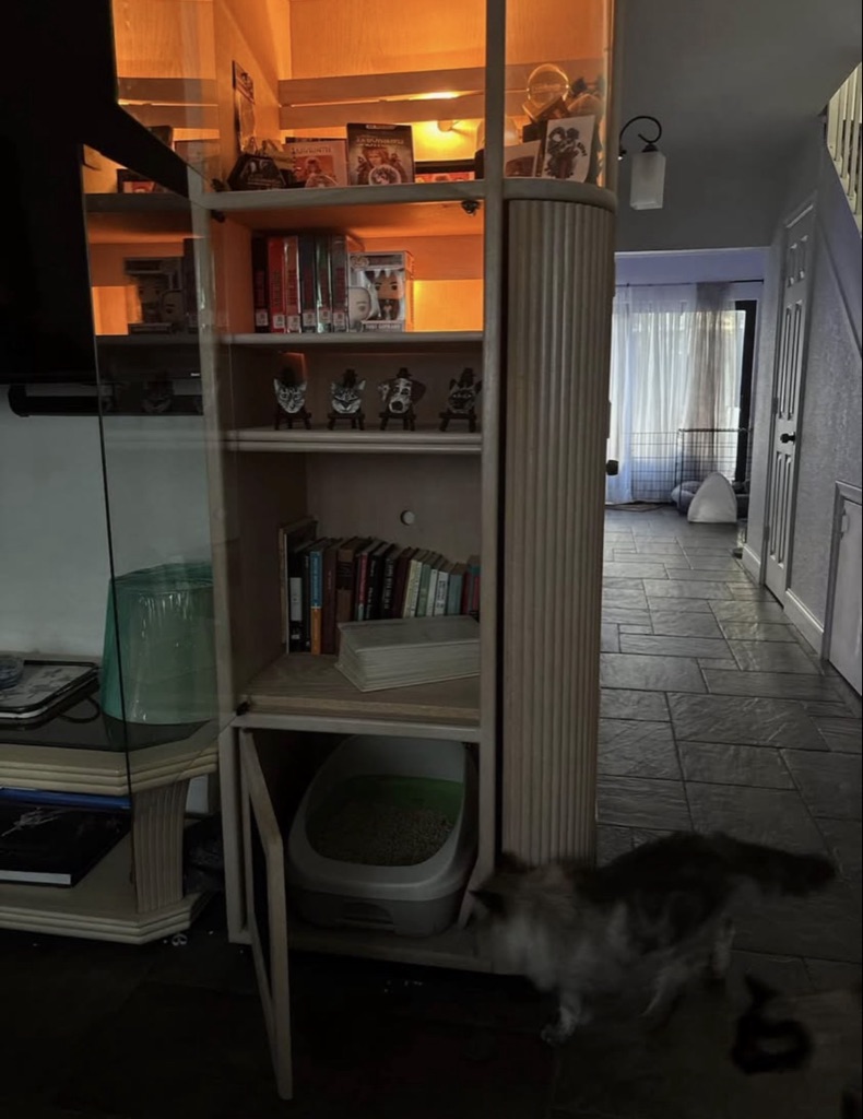free display cases