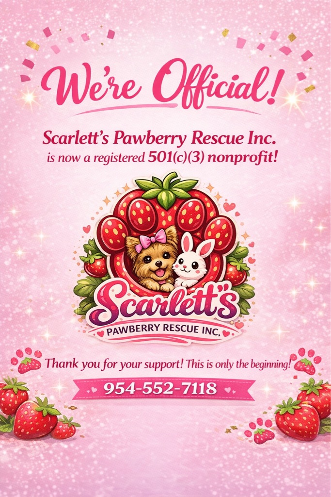 Free 🐾🍓 Like • Follow • Share • Save a Life 🍓🐾  What started as pet sitting… turned into keeping the seniors… then the surrenders… then the “no one els