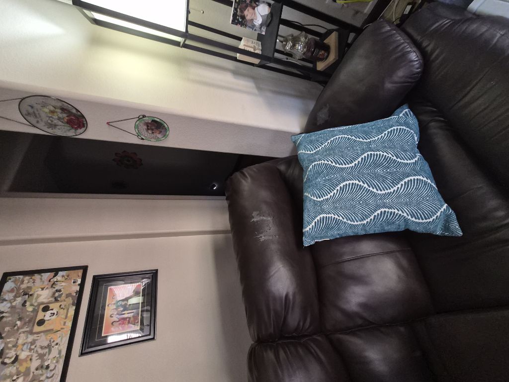 Free Sectional couch