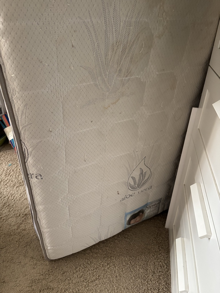 FREE Twin Mattress Siesta Collection