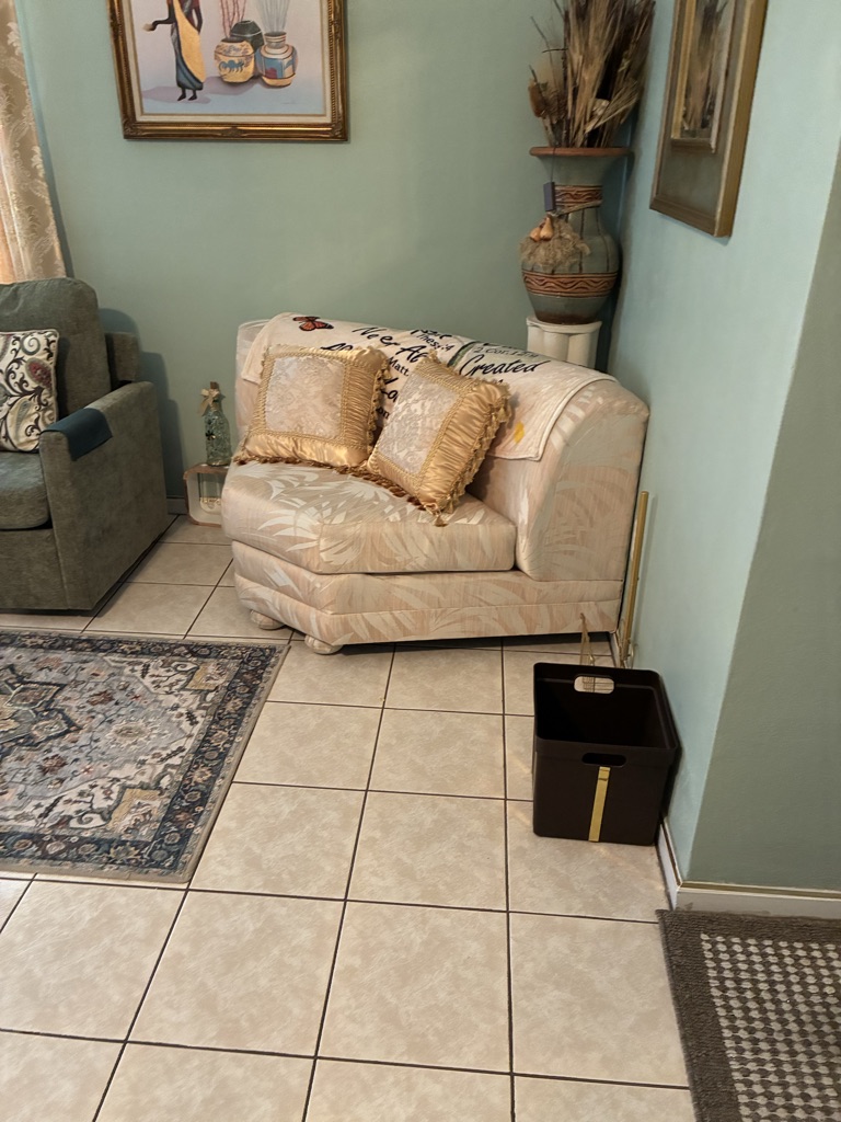 Free Sofer love seat with inside sectional
