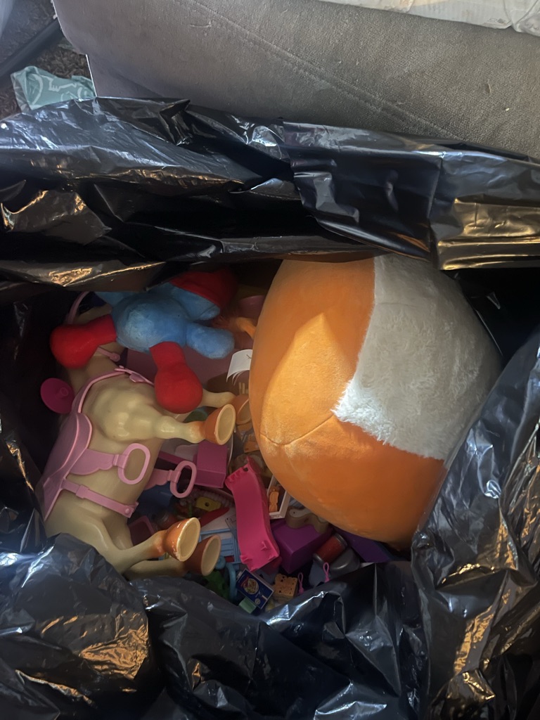 Free toys and clothes on curb