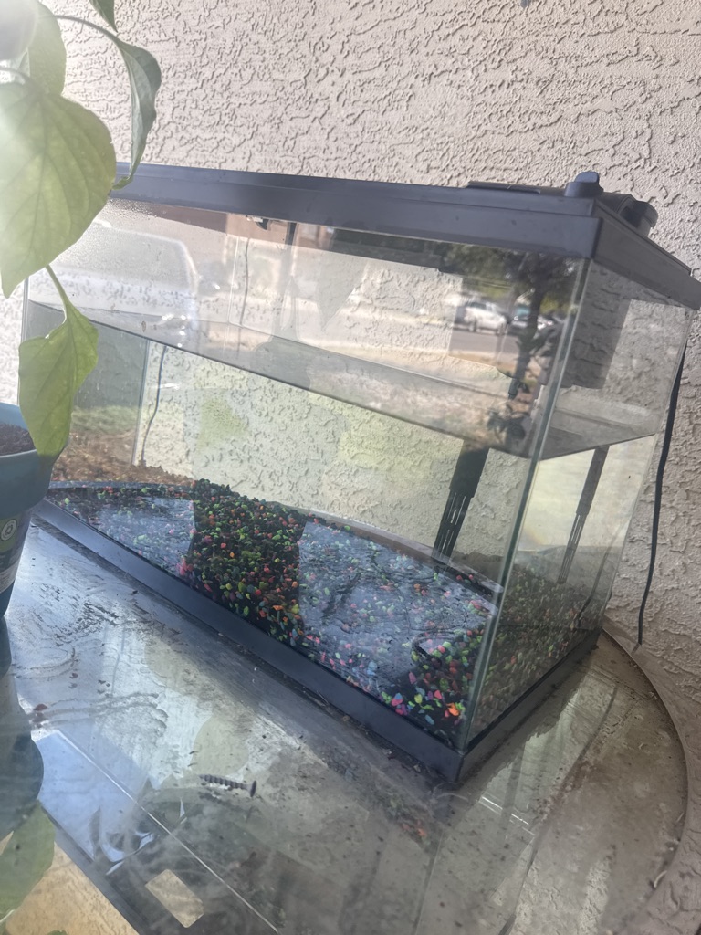 Free Fish tank 10 gallons w led light and filter