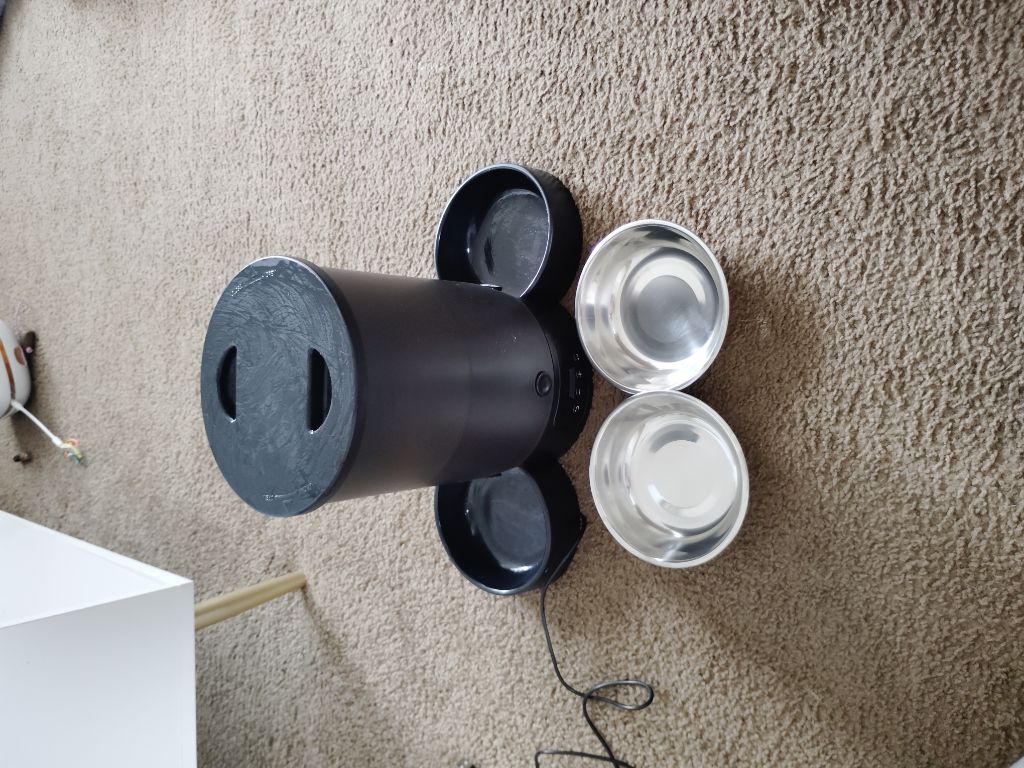 Free Double automatic cat feeder