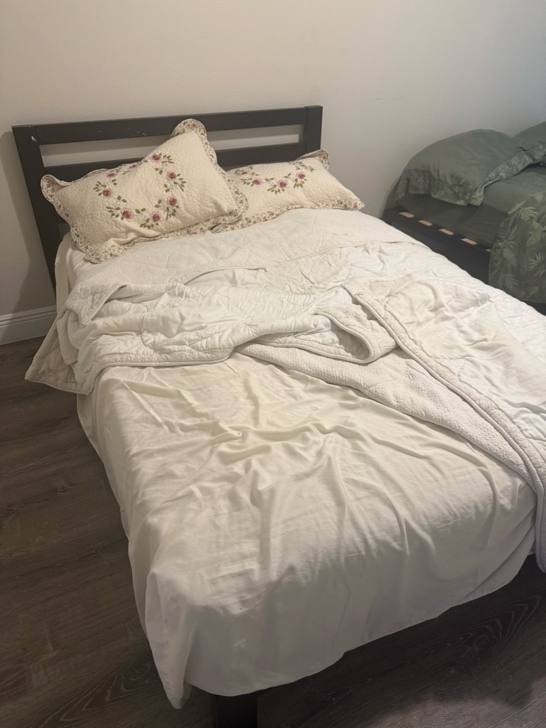 Free full size bed and mattress and rugs