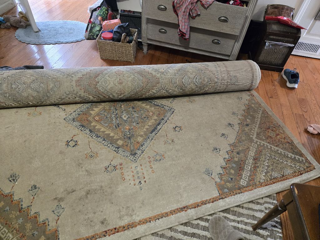 Free 8x10 rug