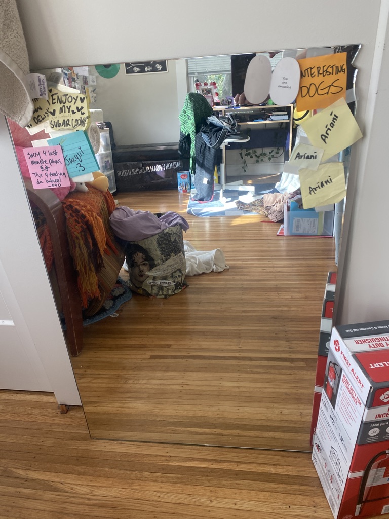 Free medium sized mirror