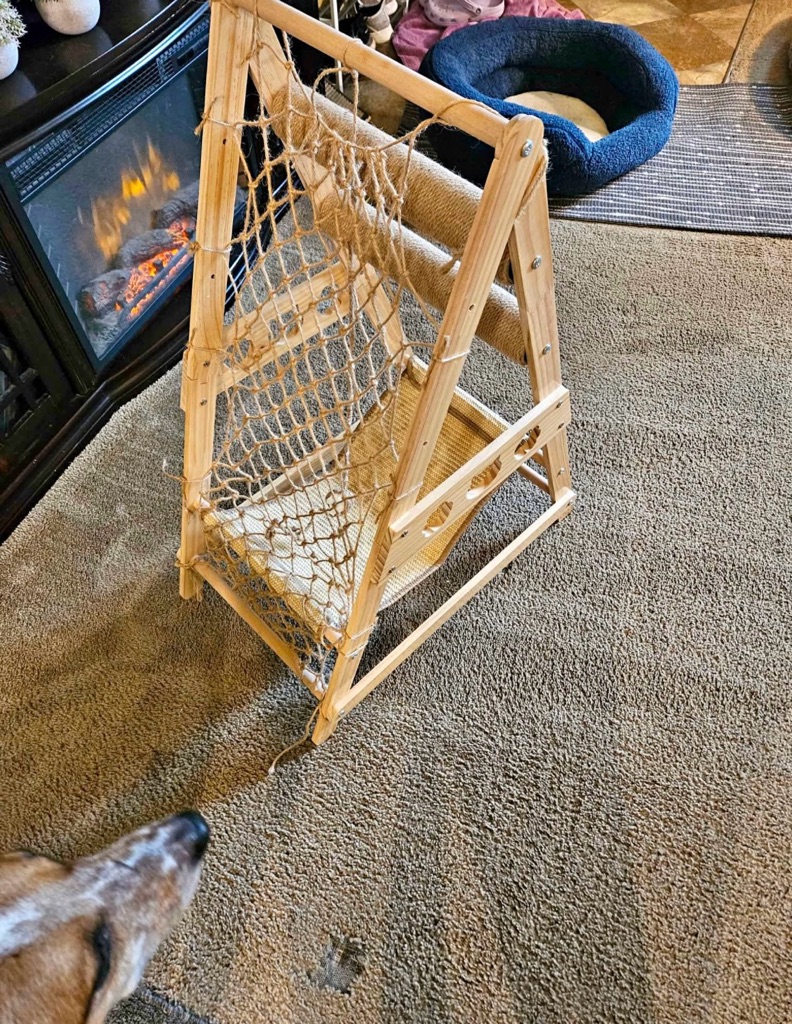 Free Cat you, play thing