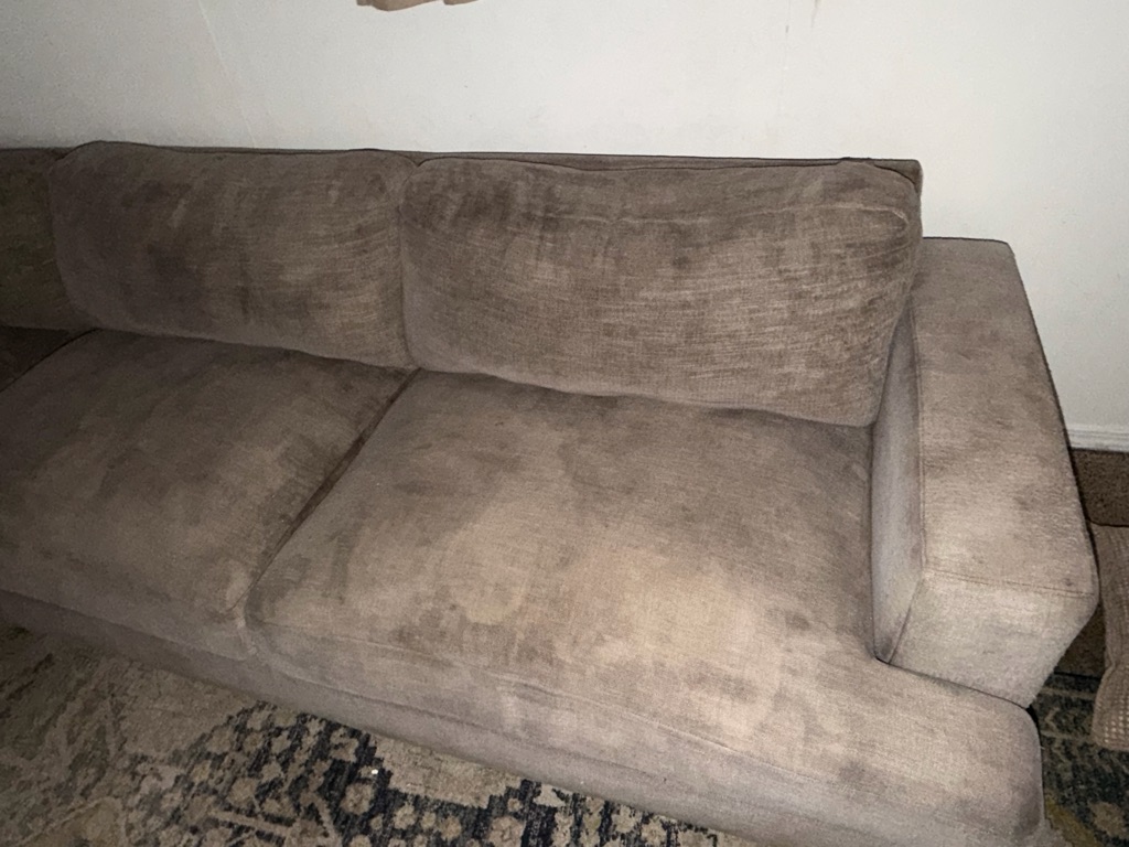 Free Sofa