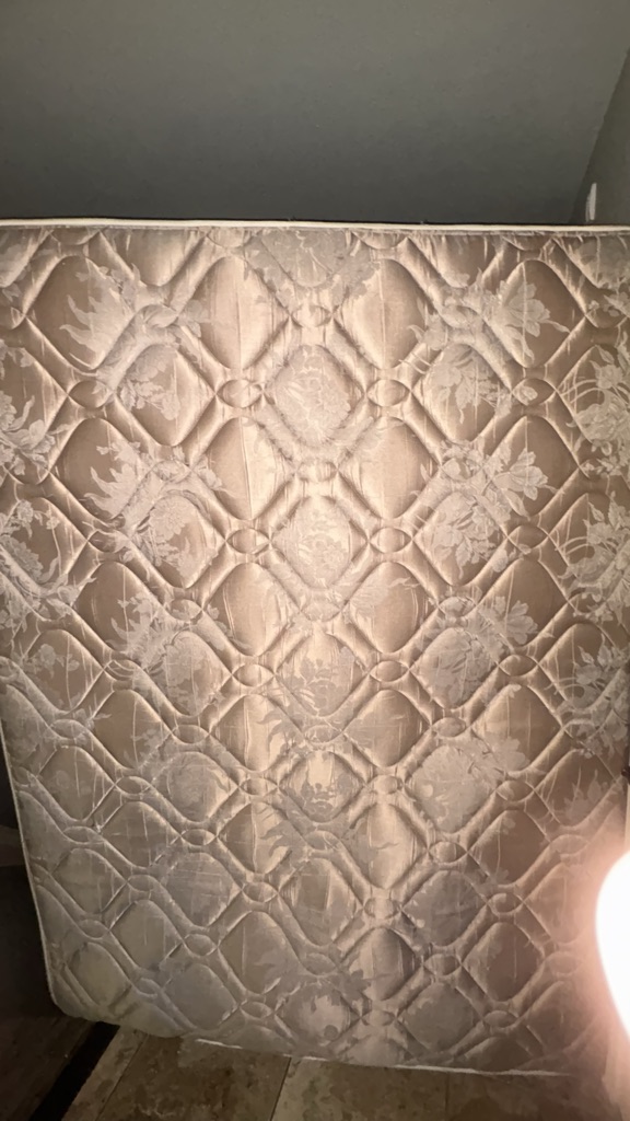 Free Queen Mattress