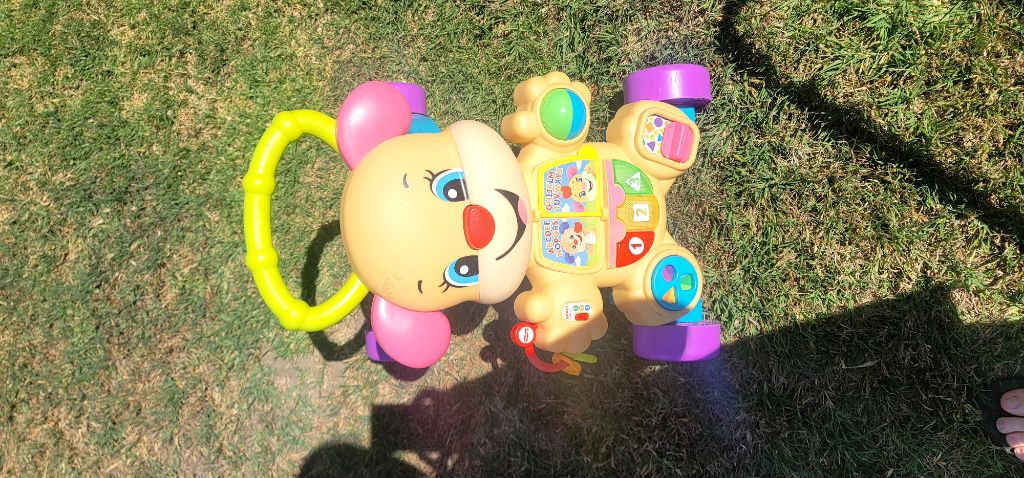 Free Fisher Price Puppy Walker