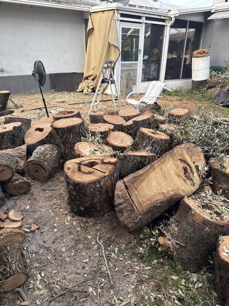 Free Fire wood. Oak wood. FREE