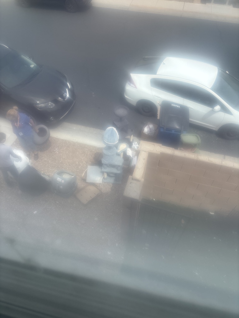 Free cat and animal supplies