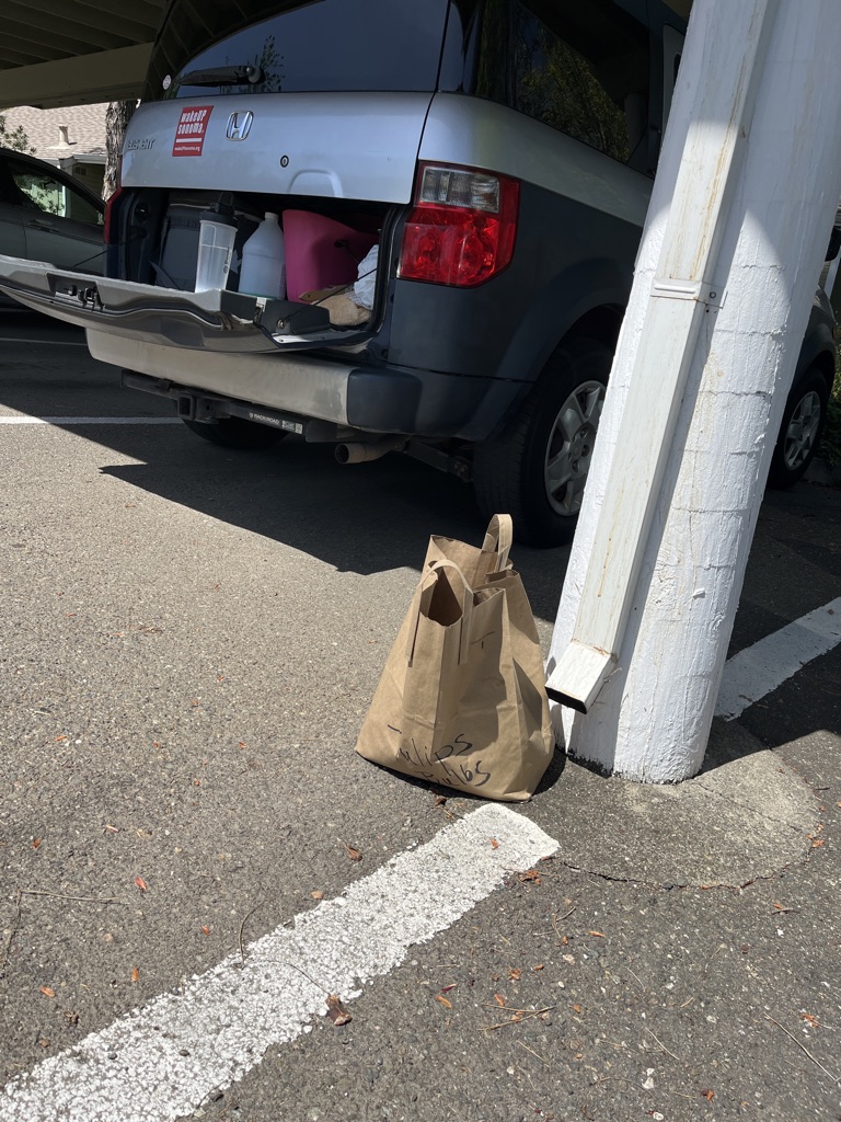 Free Tulip bulbs, big bag