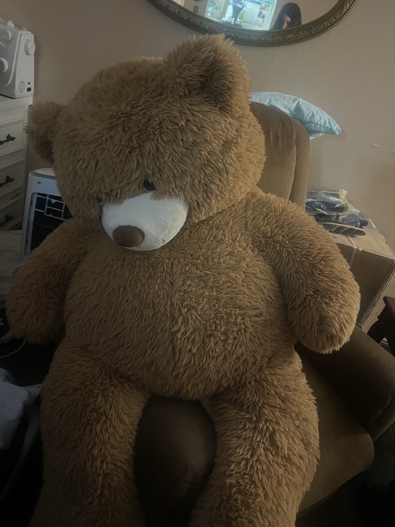 Free Rocker Recliners