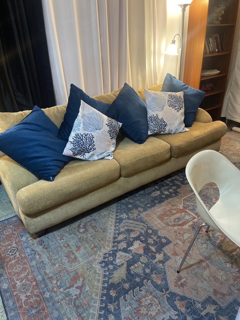 Free sleeper sofa, Queen Size