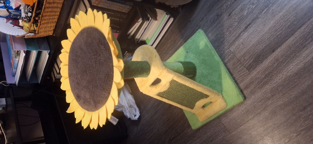 Free Sunflower cat scratch/nap post