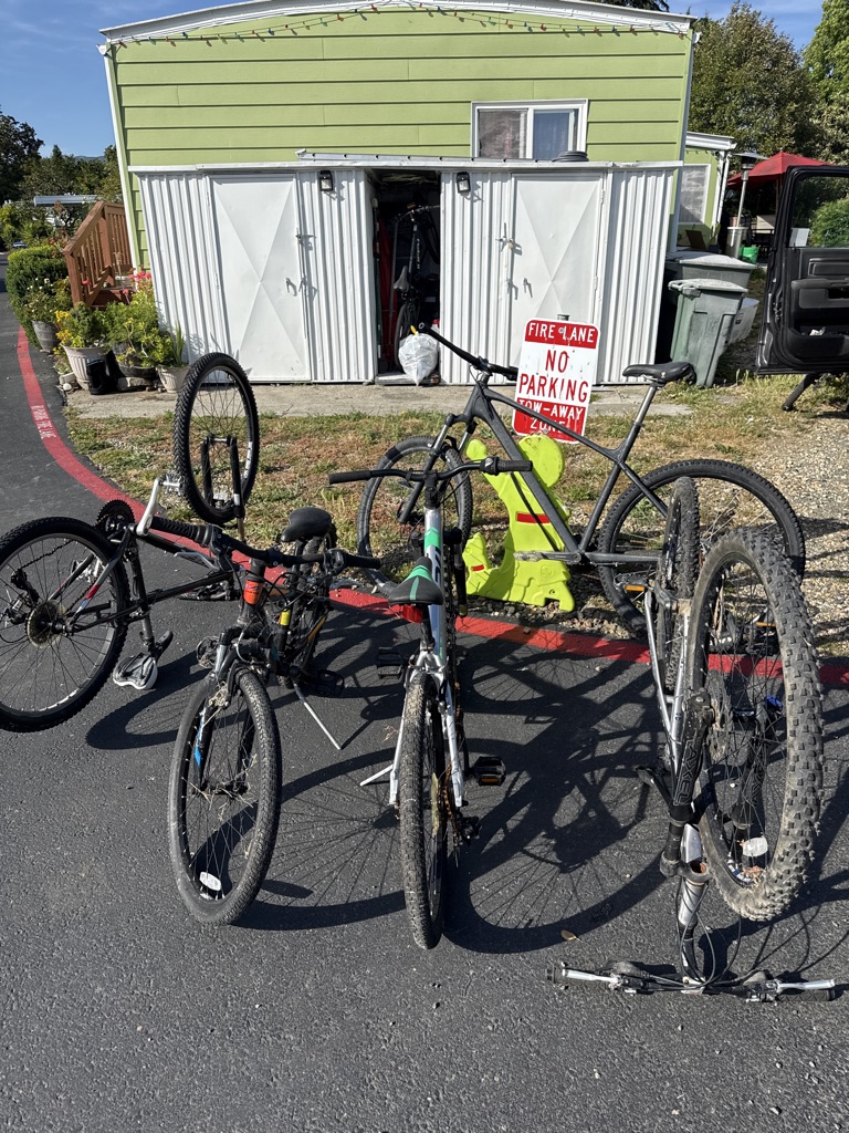 Free bikes kids and adults