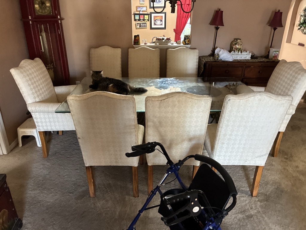 Free 8 seater table and chairs