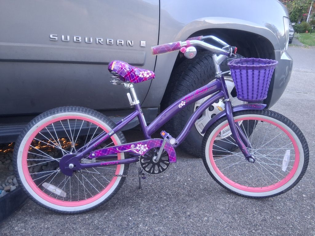 Free Girls bike FREE