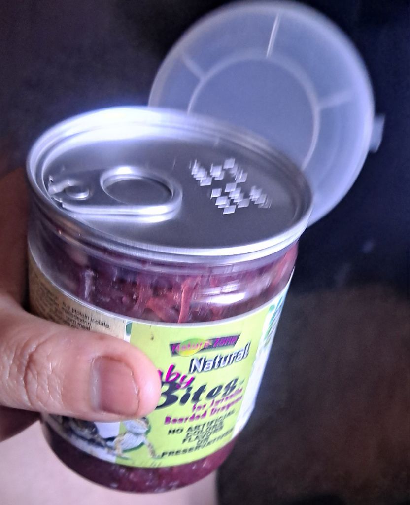 Free BABY BITES FOR JUVINILE BEARDED DRAGON