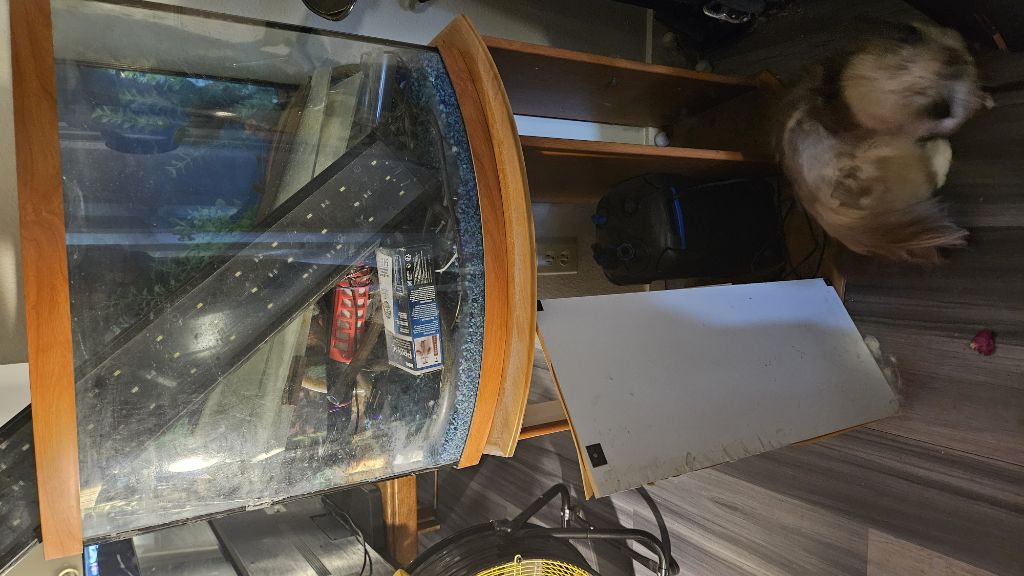 Free Aquarium, rock vacuum, refills, 100 gal tank pump etc.