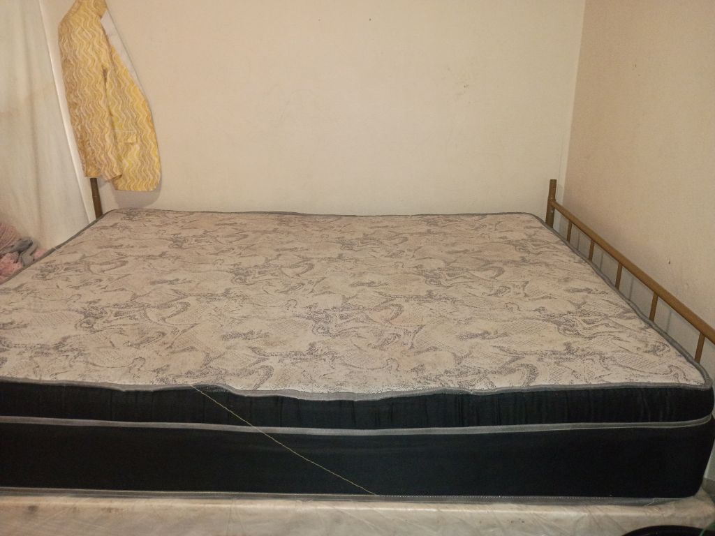 Free Bed