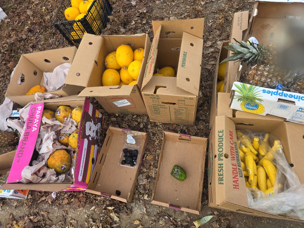 Free pineapple spaghetti squash and zucchinii