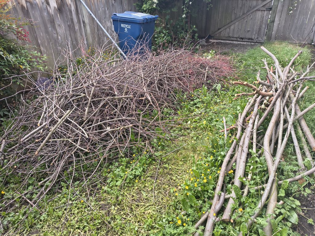 Free wood, tree branches and trunks