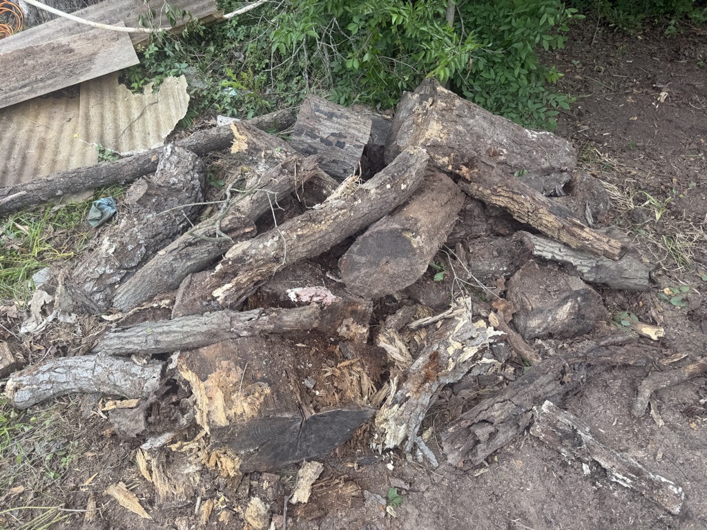 Free oak wood