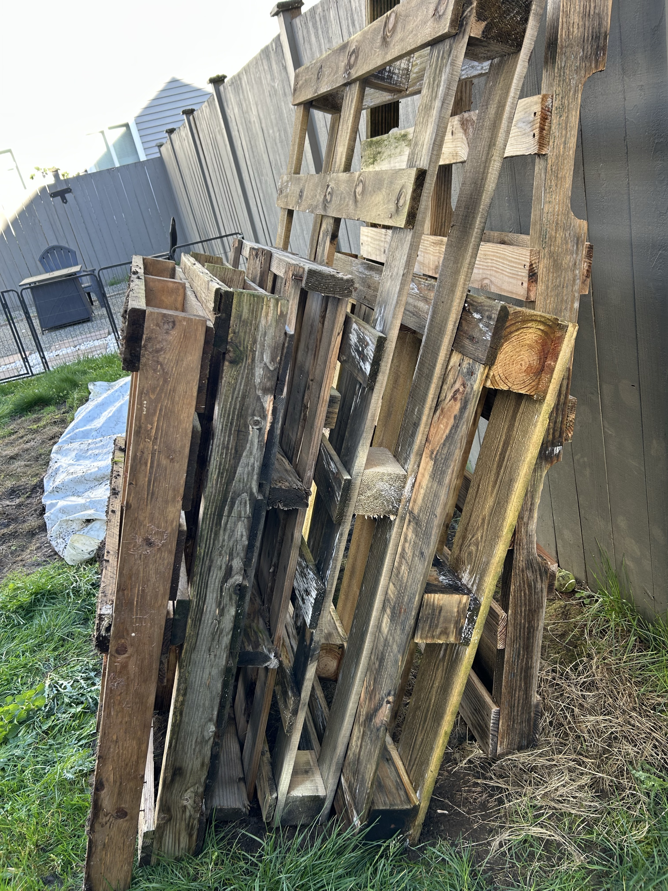 Free Pallets - please come and take these…free