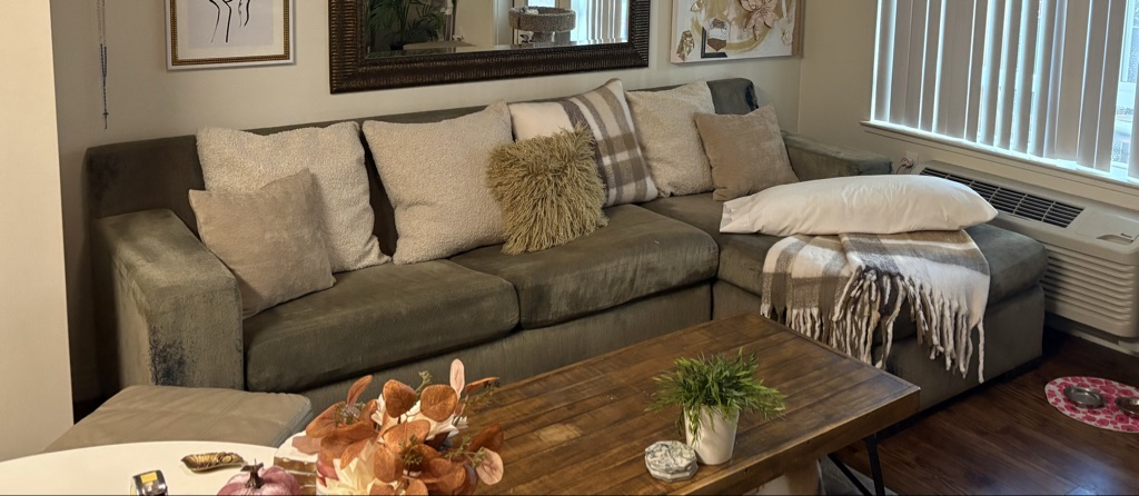 Free Couch