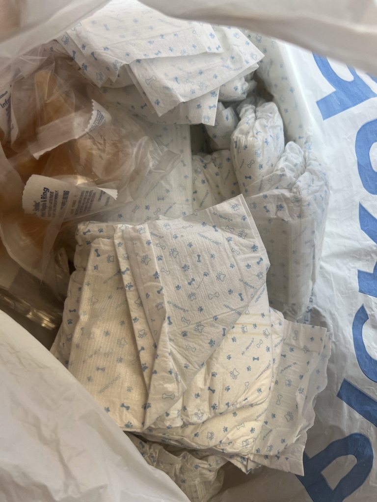 Free Doggie pampers