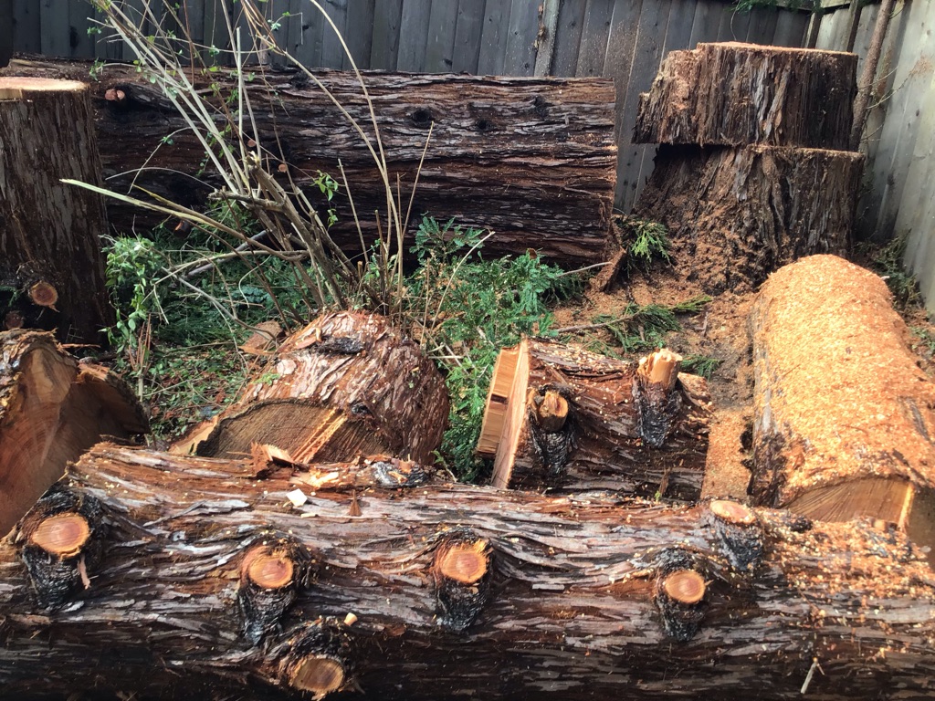 Free Redwood trunks and branches